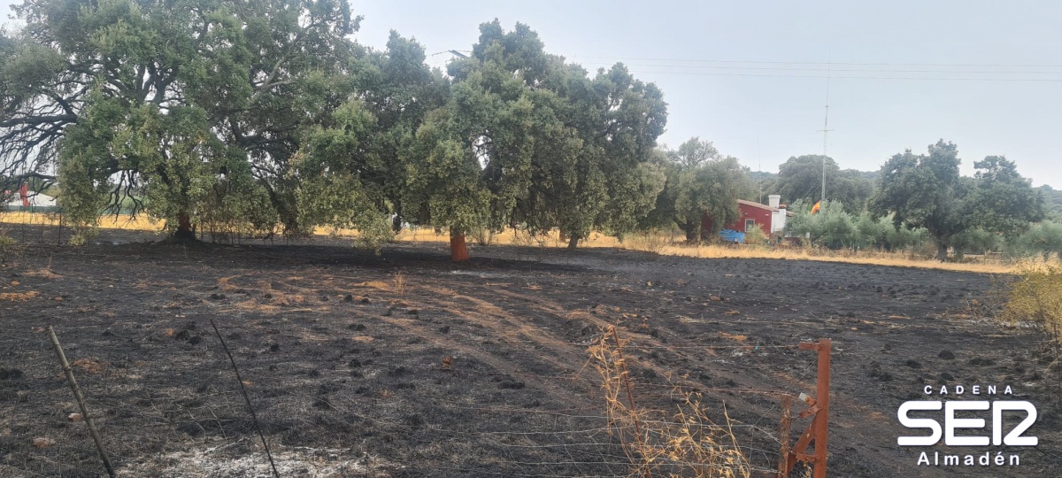 Así han quedado varias parcelas de 'Las Viñas' tras el incendio de Chillón
